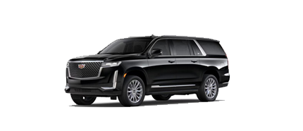 Pearson Airport Taxi